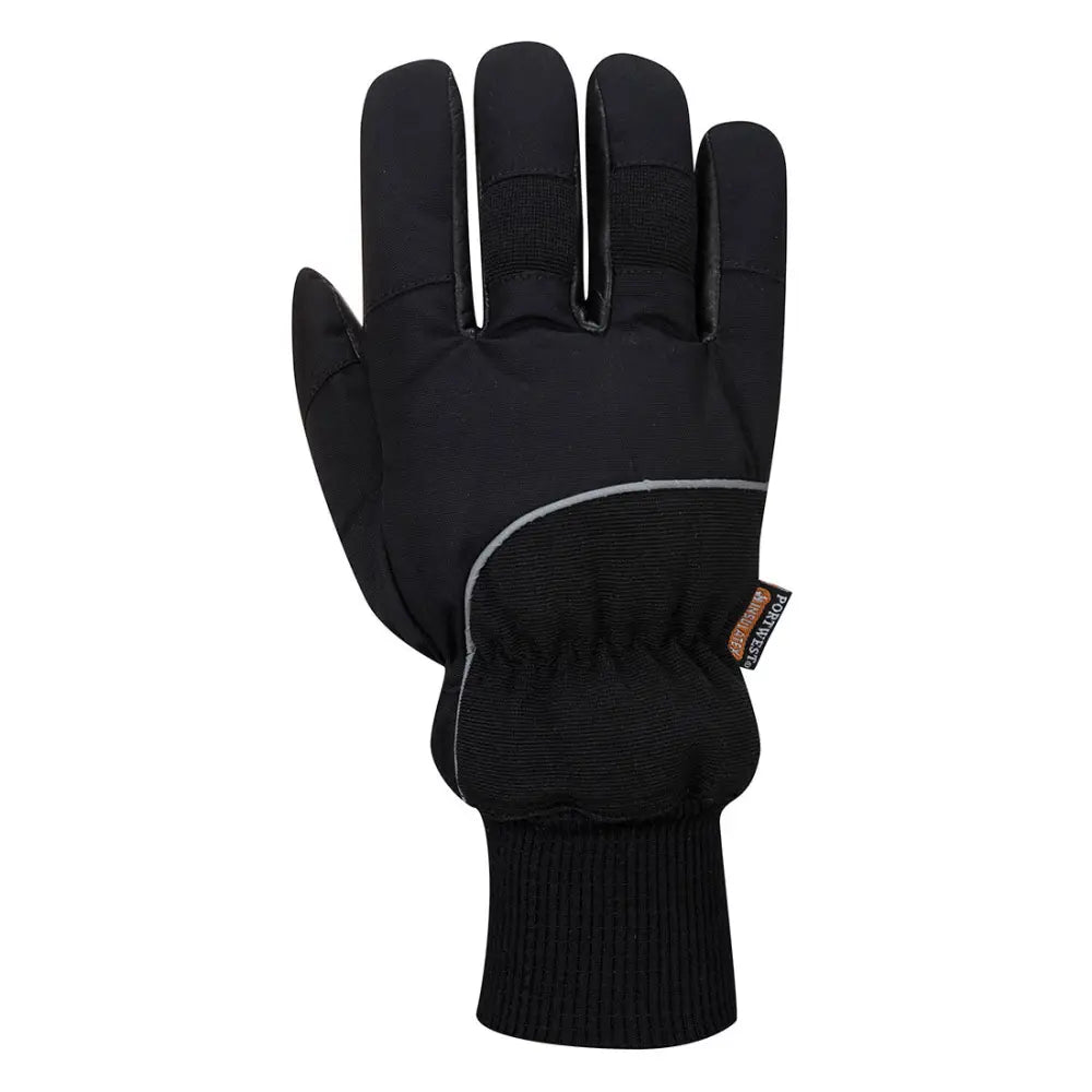 Portwest Sibirien Cold Store Handske A751