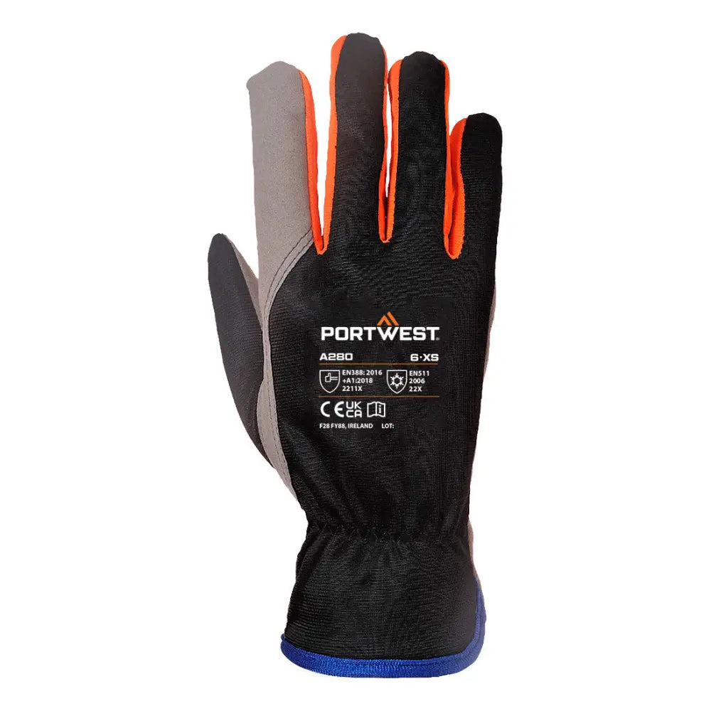 Portwest Wintershield Handske A280