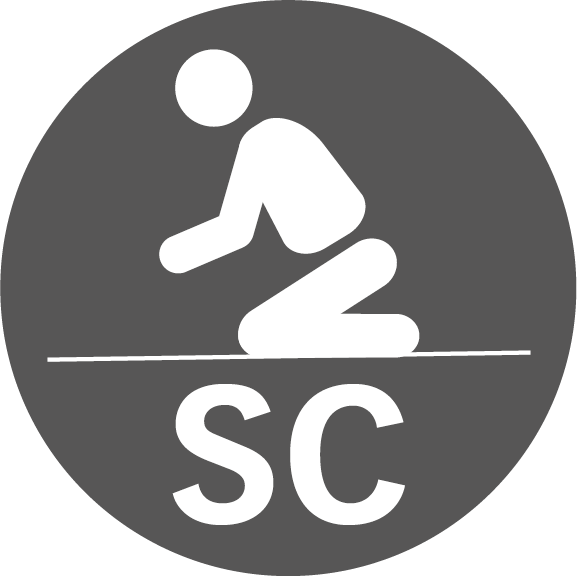 SC (ny) Prognos